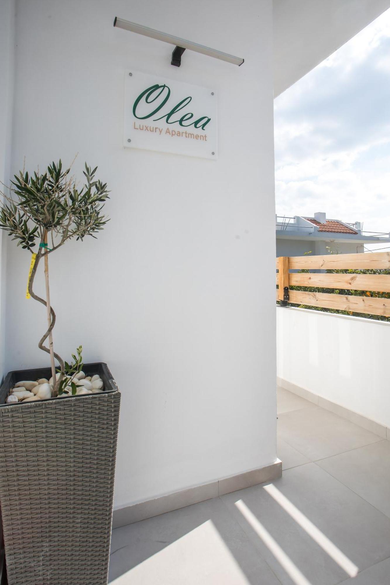 Olea Luxury Apartment Αφάντου Εξωτερικό φωτογραφία