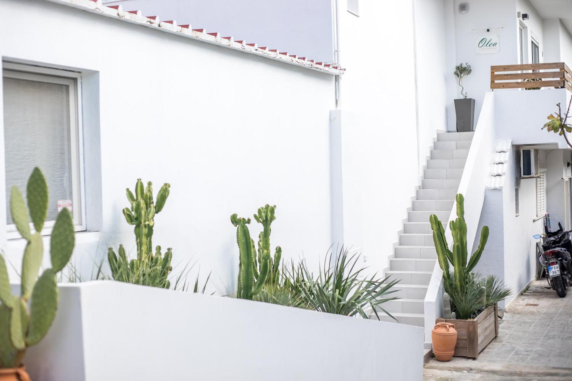 Olea Luxury Apartment Αφάντου Εξωτερικό φωτογραφία