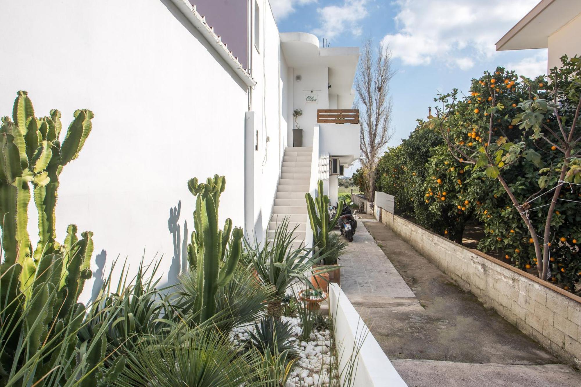 Olea Luxury Apartment Αφάντου Εξωτερικό φωτογραφία